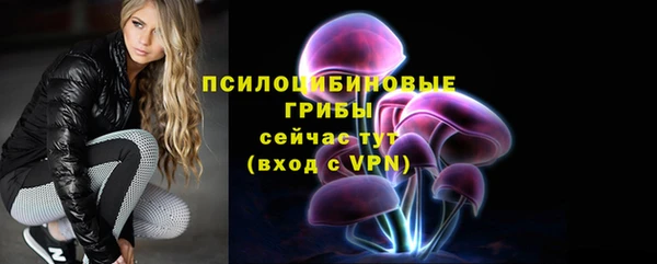 гидра Армянск