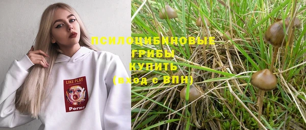 гидра Армянск
