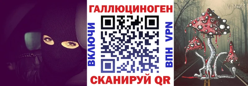 ссылка на мегу ссылка  Фрязино  Псилоцибиновые грибы мицелий  закладки 
