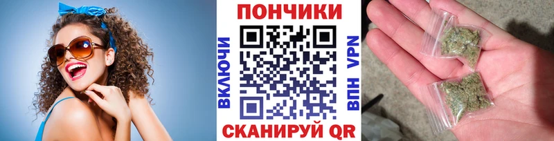 купить закладку  MEGA ССЫЛКА  Каннабис Amnesia  Фрязино 